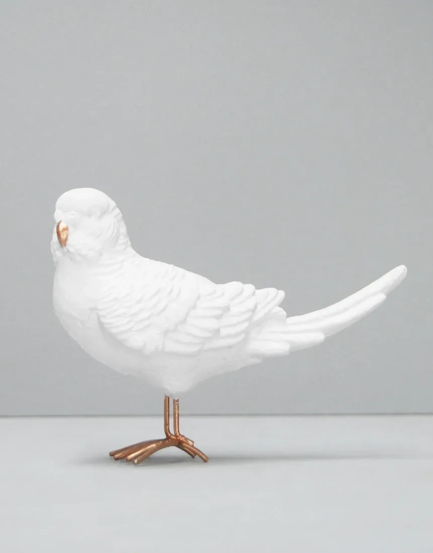 Budgie - White