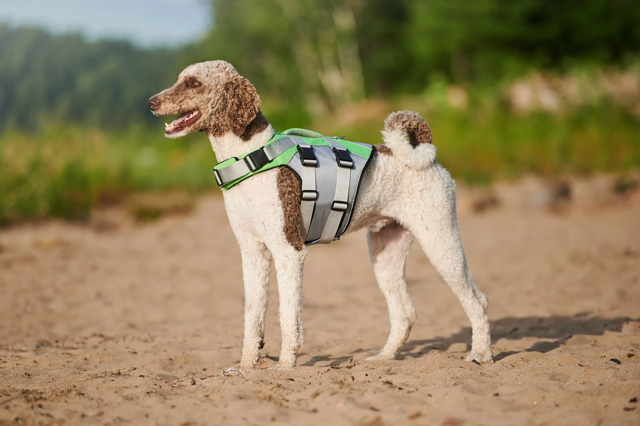 Green Life Jacket