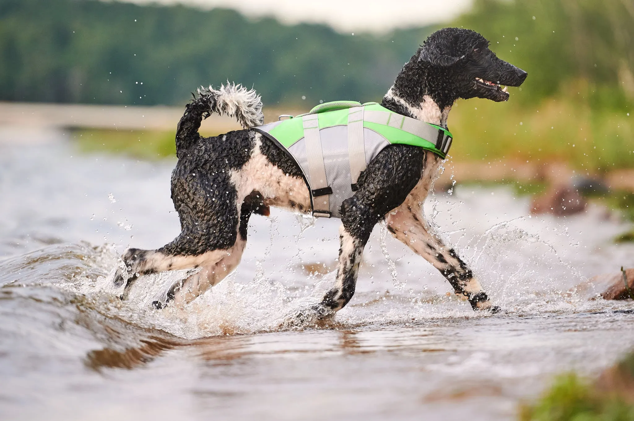 Green Life Jacket